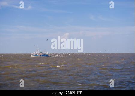 Ufficio dell'Amministratore (Lisa P. Jackson) - Cocodrie, Louisiana e campionamento dell'acqua (BP Oil Spill) - USEPA photo di Eric Vance , Environmental Protection Agency Foto Stock