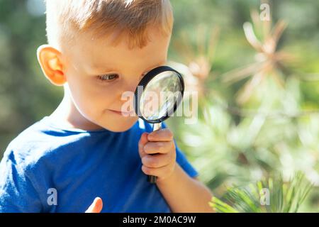 Il ragazzo curioso sta esplorando la natura con lente d'ingrandimento all'aperto Foto Stock