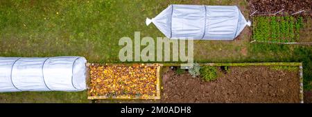 Veduta aerea delle serre a tunnel basso del fai da te in un giardino di casa. Polytunnel, giardino autunnale, clima freddo protezione delle colture sfondo. Foto Stock