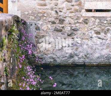 Muro di pietra con fiori su un ponte del castello Foto Stock