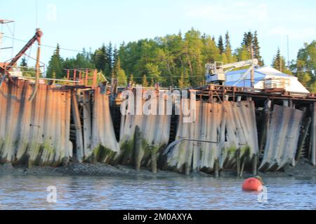 Carico di pesca commerciale sul fiume Kasilof. Foto Stock