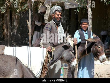 Villaggio vicino a Bala Murghab, Provincia di Badghis / Afghanistan: Due uomini afghani in piedi per strada con asini in questa remota parte dell'Afghanistan. Foto Stock