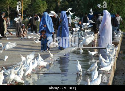 Mazar-i-Sharif, Provincia dei Balcani / Afghanistan: Persone e uccelli al di fuori della Moschea Blu a Mazar i Sharif. Foto Stock