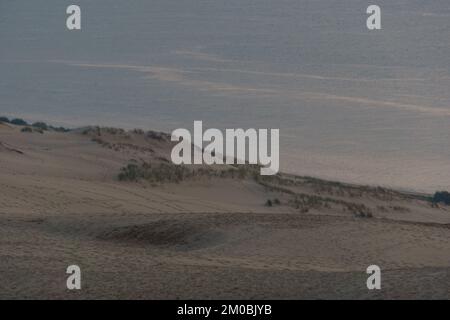 lone erba di fronte al mare sulla duna du Pilat, la più grande duna di sabbia in Europa durante il crepuscolo del tramonto Arcachon, Nouvelle-Aquitaine, Francia Foto Stock