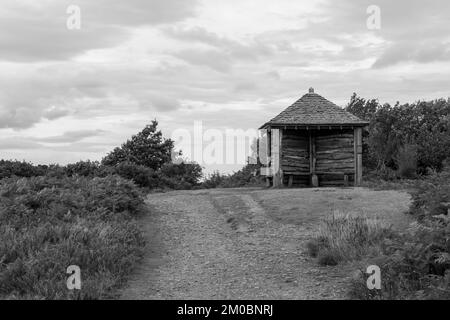 La capanna Jubilee si affaccia su Horner Woods nel Parco Nazionale di Exmoor Foto Stock