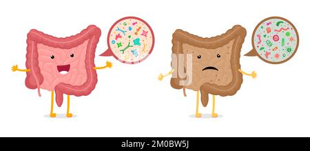 Confronto dell'ingrandimento dei batteri microscopici dell'intestino. Mascotte dell'intestino umano microbioma sano e malsano. Intestino cattivo e buon microfl Illustrazione Vettoriale