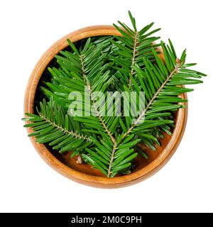 Piccoli rami di abete in una ciotola di legno. Lati superiori delle punte fresche e verdi dei rami europei di abete rosso. Aby alba, un albero sempreverde di conifere. Foto Stock