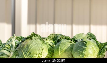 Immagine dettagliata della testa di cavolo in esposizione per la vendita Foto Stock