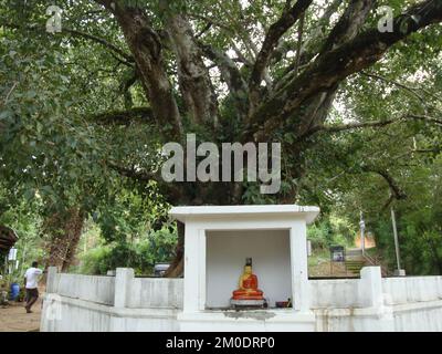 Il Ponte di legno Bogoda fu costruito nel 16th ° secolo durante l'era di Dambadeniya. Si dice che sia il più antico ponte di legno sopravvissuto nello Sri Lanka. Foto Stock