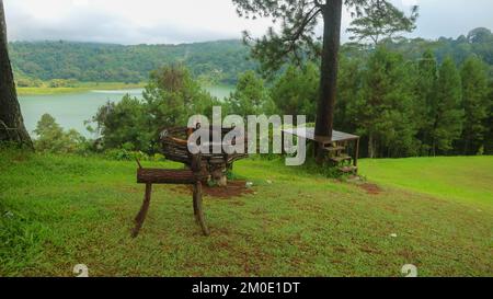 incredibile cervi in legno in un bellissimo giardino Foto Stock