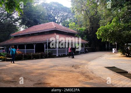 04 dicembre 2022, Pune, India, Empress Botanical Garden, un paradiso verde nel cuore di Pune, ci sono molti rari alberi esotici e indigeni. Foto Stock