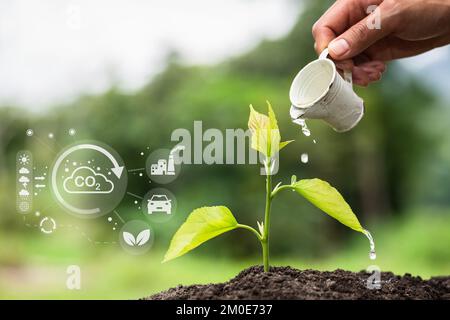 Mani che annaffiano le piante. Manutenzione degli alberi, concetto di conservazione delle foreste tecnologia delle risorse rinnovabili per ridurre l'inquinamento. Giornata ambientale. Riduzione Foto Stock