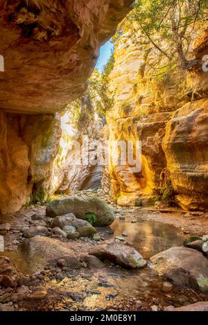 Paesaggio con gola Avakas, famoso canyon a Paphos, Cipro. Foto Stock