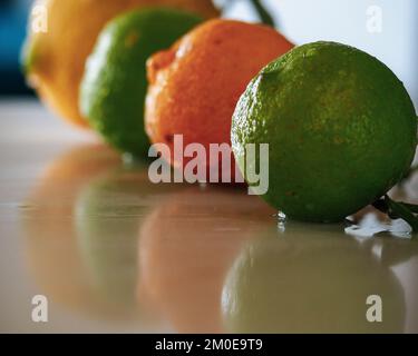 Cibo, quattro frutta in fila, lime e limoni, agrumi, si riflettono deliziosi su una superficie lucida banco Foto Stock