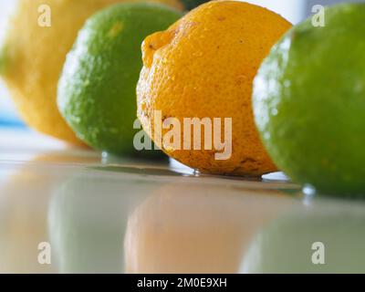 Cibo, quattro frutta in fila, lime e limoni, agrumi, si riflettono deliziosi su una superficie lucida banco Foto Stock