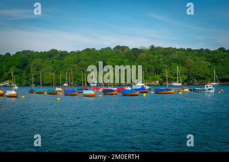 22nd luglio 2021 - Fowey, Regno Unito: La vista da una gita in barca intorno al porto di Fowey.. Barche a vela colorate ormeggiate. Foto Stock