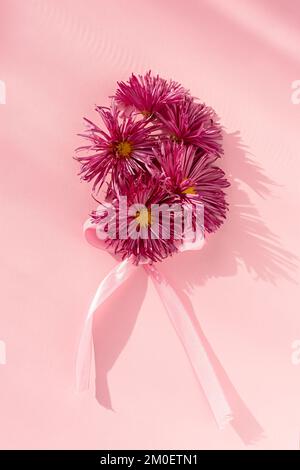 Begli crisantemi cremisi giacitura piatta. Vista dall'alto di un fiore su un delicato sfondo rosa. Composizione floreale minimalista. Concetto di vacanza. Foto Stock