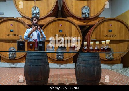 Tour enologico all'interno del celare di Cantine Pellegrino contenente botti di rovere piene di Marsala dalla Sicilia. Italia. Foto Stock