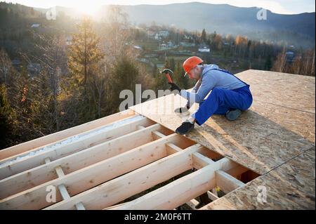 Falegname martello chiodo in pannello OSB sulla cima del tetto del futuro cottage all'alba. Uomo lavoratore costruzione casa telaio in legno. Concetto di carpenteria e costruzione. Foto Stock