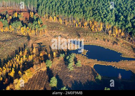 Riserva naturale Houterenberg Pinnekenswijer, vista aerea, Belgio, Vlaams-Brabant, Averbode Foto Stock