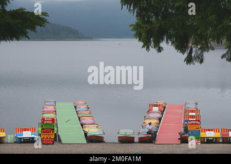 Tappe di sbarco presso Schluchsee, Germania, Baden-Wuerttemberg, Foresta Nera Foto Stock