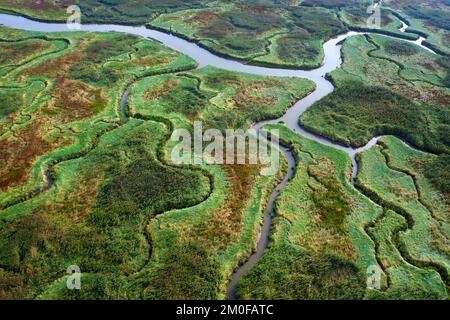 Land van Saeftinghe, Westerschelde, veduta aerea, Belgio, Anversa, Land van Saeftinghe Foto Stock