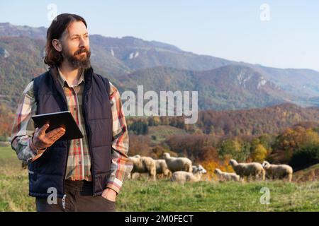 Agricoltore con tavoletta sullo sfondo di un gregge di pecore. Gestione del gregge Foto Stock