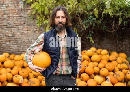 Contadino al beared con zucca sullo sfondo di un mucchio di zucche Foto Stock