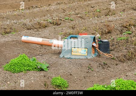 Uno sciarpa di uccello di Portek Scatterbird Mark 3 alimentato a gas in un campo, Inghilterra, Regno Unito Foto Stock