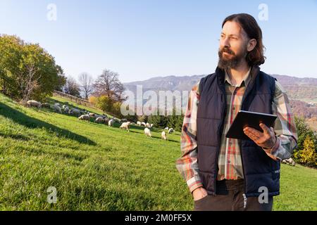 Agricoltore con tavoletta sullo sfondo di un gregge di pecore. Gestione del gregge Foto Stock