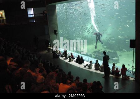 Hirtshals North Sea Oceanarium, il più grande acquario d'Europa, è stato distrutto da un incendio. Le spese sono enormi: 4000 pesci, 4,5 milioni di litri d'acqua, 300 000 visitatori all'anno, e un prezzo di 95 milioni di DKK. 12 camion dei pompieri e 30 vigili del fuoco hanno cercato di salvare l'acquario dalle fiamme, ma l'edificio è completamente eviscerato. L'immagine mostra l'Oceanarium di ottobre, un pesce sole. Foto Stock