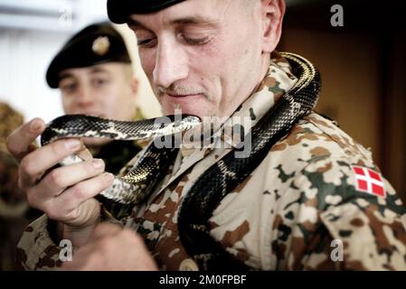 Oltre alle mine terrestri, alle folle furiose, ai terroristi suicidi e agli attacchi militari, i soldati danesi che si recheranno in Iraq devono imparare a gestire altre minacce, più in particolare la fauna irachena. Una bella selezione di serpenti, scorpioni, insetti e ragni. I soldati vengono addestrati allo zoo di Copenaghen. Nella foto è raffigurata la Lance Corporal Michael Christiansen. Foto Stock