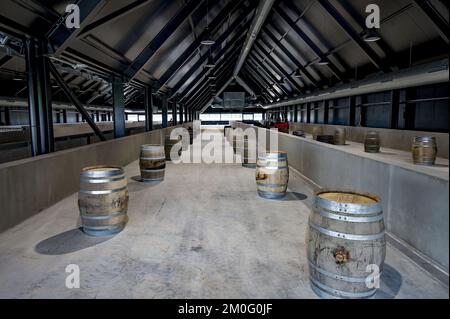 La nuova distilleria di Stauning Whiskey. Lasse Vesterby pronto a dare il benvenuto nella nuova distilleria danese di whisky e il sabato al festival del whisky. Foto Jørgen Kirk Stauning Whiskey sta costruendo un nuovo stabilimento di produzione a Stauningvej vicino a Skjern. Foto Stock