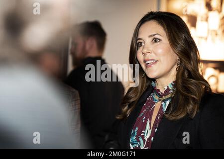 Crown Princess Mary partecipa alla selezione dei vincitori del Concorso Media al Politikens Hus di Copenaghen, mercoledì 29 gennaio 2020. Nell'ambito del tema "la morte è qualcosa di cui stiamo parlando”, l'obiettivo è stato quello di fornire agli studenti delle scuole medie conoscenze sull'industria dei media e su come pubblicare giornali e siti di notizie per informazioni sulla morte e le malattie gravi. (Foto: IDA Guldbæk Arentsen / Ritzau Scanpix) Foto Stock