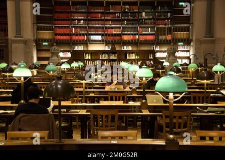 Francia. Parigi (75) 2nd° arrondissement. Biblioteca Nazionale di Francia (BNF). Sito web Richelieu. La sala Labrouste (spazi rinnovati da Virginie Bregal An Foto Stock