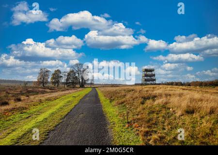 Torre panoramica accessibile al pubblico a Het Aekingerzand, parte del parco nazionale Drents-Friese Wold con una vista sulle dune di sabbia di Kale Duinen Foto Stock