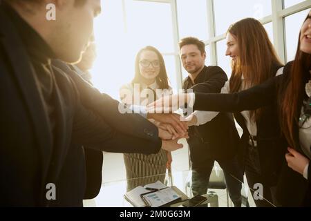 I giovani dipendenti si uniscono alle loro palme sopra la scrivania. Foto Stock