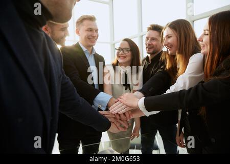 I giovani dipendenti si uniscono alle loro palme sopra la scrivania. Foto Stock