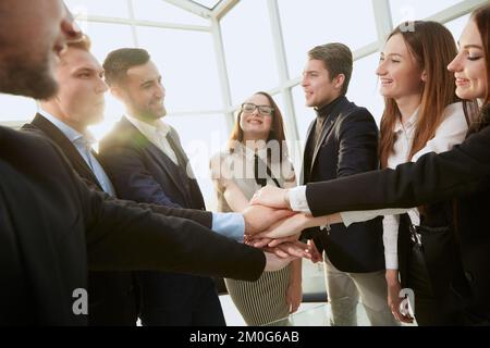 I giovani dipendenti si uniscono alle loro palme sopra la scrivania. Foto Stock