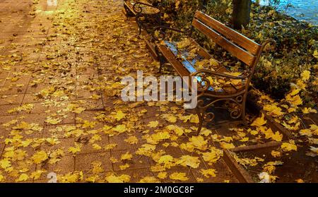 Panchina del parco sulla strada della città notte Foto Stock
