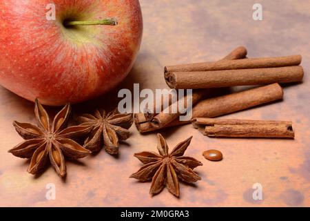 Anice stellare (Illicium verum) e bastoncini di cannella con anice stellare, Cinnamomum Foto Stock