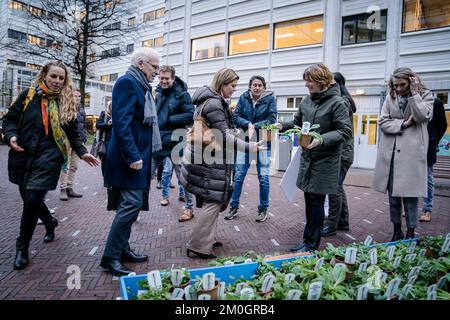 L'AIA - Paesi Bassi, 06/12/2022, L'AIA - Piet Adema, ministro dell'Agricoltura, della natura e della qualità alimentare, e Christianne van der Wal-Zeggelink, ministro della natura e dell'azoto, durante una campagna di ecologizzazione presso la Camera dei rappresentanti. Costruttori, agricoltori, operatori sanitari e banche chiedono al gabinetto di procedere come previsto. ANP BART MAAT netherlands OUT - belgio OUT Foto Stock