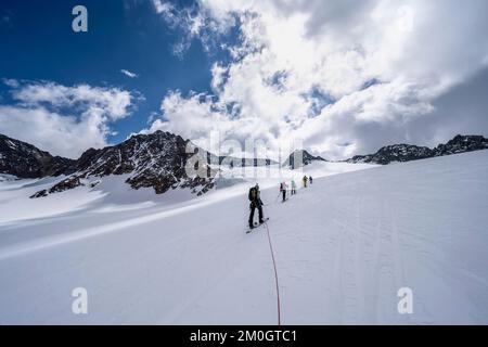 Gruppo di sciatori che salgono sulla corda, ad Alpeiner ferner, salita a Obere Hölltalscharte, Alpi Stubai, Tirolo, Austria, Europa Foto Stock