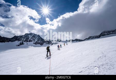 Gruppo di sciatori che salgono sulla corda, a Alpeiner ferner, salita a Obere Hölltalscharte, Sonnenstern, Alpi Stubai, Tirolo, Austria, Europa Foto Stock