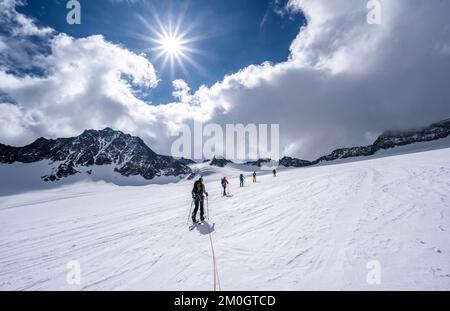 Gruppo di sciatori che salgono sulla corda, a Alpeiner ferner, salita a Obere Hölltalscharte, Sonnenstern, Alpi Stubai, Tirolo, Austria, Europa Foto Stock