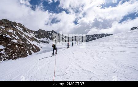 Gruppo di sciatori che salgono sulla corda, ad Alpeiner ferner, salita a Obere Hölltalscharte, Alpi Stubai, Tirolo, Austria, Europa Foto Stock