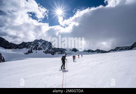 Gruppo di sciatori che salgono sulla corda, a Alpeiner ferner, salita a Obere Hölltalscharte, Sonnenstern, Alpi Stubai, Tirolo, Austria, Europa Foto Stock