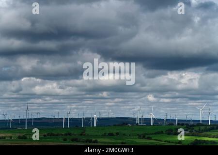 Turbine eoliche presso Whitelee Wind Farm, la più grande centrale eolica onshore del Regno Unito, Eaglesham Moor, Scozia, Regno Unito Foto Stock