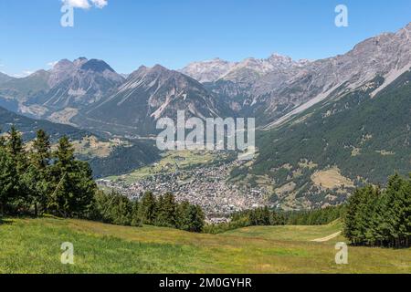 bormio 2000, bormio, italia Foto Stock