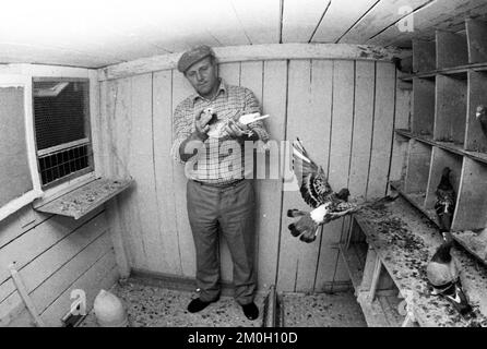 La regione della Ruhr, il paese e la gente, il lavoro, la vita, il tempo libero nella regione della Ruhr nel 1976, Germania, Europa Foto Stock